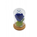 Blue forever preserved rose in  glass bell