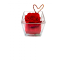 "Forever" preserved rose in glass