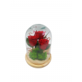 Three red forever preserved roses in glass bell