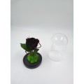 Black forever - preserved rose in  glass bell