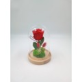 Red forever-preserved rose in a glass bell