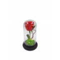 Κόκκινο forever - αναλλοίωτο τριαντάφυλλο με led φωτισμό σε γυάλινη καμπάνα