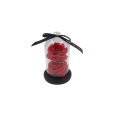 2 Red forever - artificail roses in illuminated glass bell
