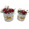 Red roses in box
